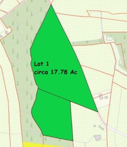 Cloonminda, Williamstown, Co Galway  – Circa 17.78 Acres of Lands